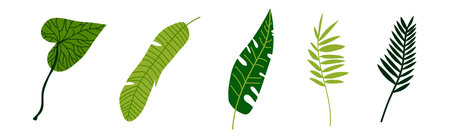 Green Tropical Leaf and Jungle Foliage Vector Setのイラスト素材