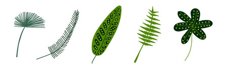 Green Tropical Leaf and Jungle Foliage Vector Setのイラスト素材