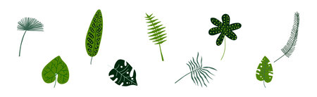 Green Tropical Leaf and Jungle Foliage Vector Setのイラスト素材