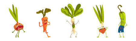 Funny Vegetable Character with Face and Arms Vector Setのイラスト素材