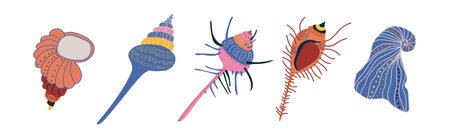 Colorful Tropical Shell as Underwater Sea Bottom Element Vector Setのイラスト素材