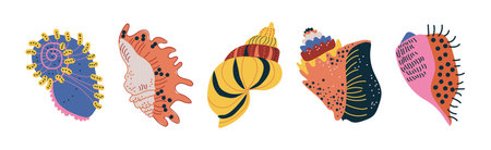 Colorful Tropical Shell as Underwater Sea Bottom Element Vector Setのイラスト素材