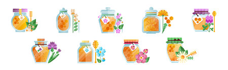 Honey in Glass Jar with Dipper and Meadow Flower Vector Setのイラスト素材