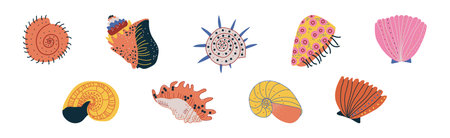 Colorful Tropical Shell as Underwater Sea Bottom Element Vector Setのイラスト素材