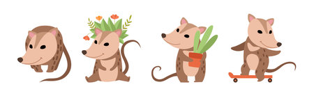 Cute Opossum Animal with Tail in Various Pose Vector Setのイラスト素材