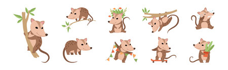 Cute Opossum Animal with Tail in Various Pose Vector Setのイラスト素材