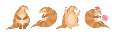 Cute Armadillo Character with Shell in Different Action Vector Setのイラスト素材