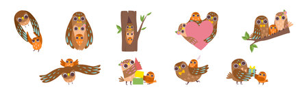 Happy Owl Family with Father, Mother and Baby Vector Setのイラスト素材