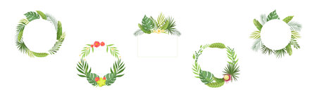 Summer Tropical Leaf and Foliage Frame Vector Setのイラスト素材