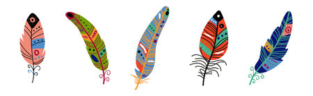 Colorful Fluffy Feather and Plume of Bird Vector Setのイラスト素材