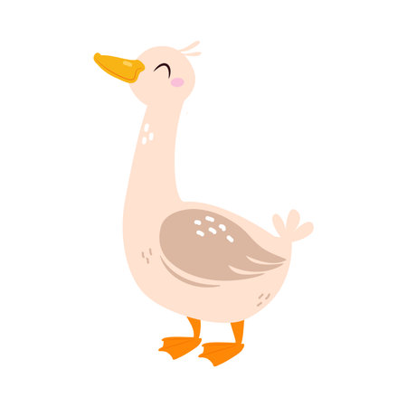 Goose as Farm Animal and Poultry Vector Illustrationのイラスト素材