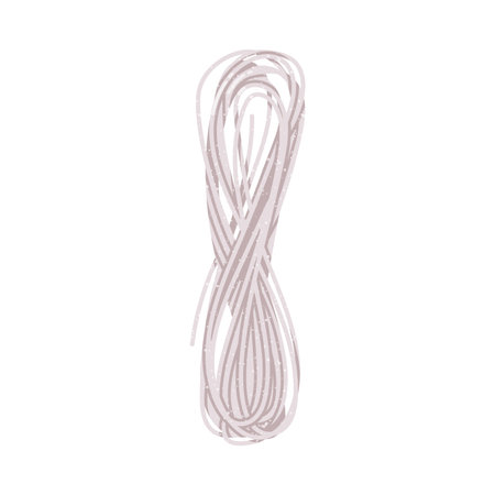 Rice Noodle Pasta as Food for Cooking Vector Illustration
