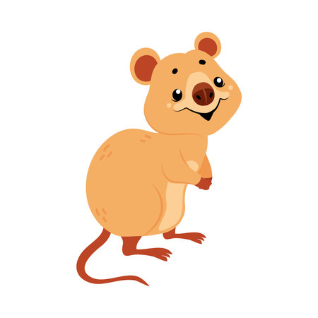 Cute Quokka Animal with Pretty Snout and Tail Vector Illustrationのイラスト素材