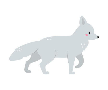 Northern Fox Animal and Zoo Creature from Cold North Vector Illustrationのイラスト素材