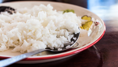 riceの写真素材