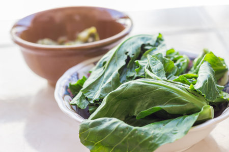 Spinachの写真素材