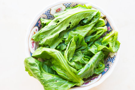Spinachの写真素材