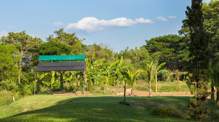 parkの写真素材