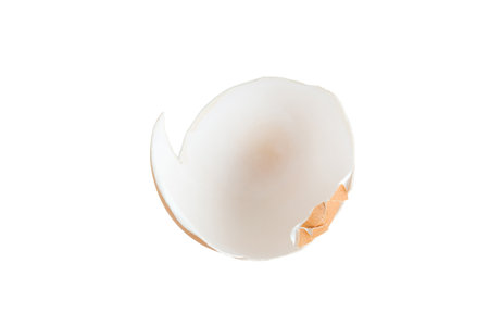 Grade A large egg quality