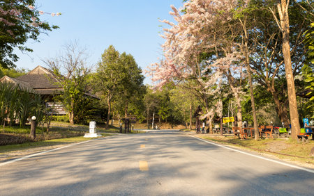Roads and scenery in Thailandのeditorial素材