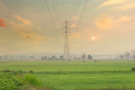 Beautiful rice field in Thailandの写真素材