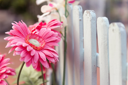 Fake flowers for interior decorationの写真素材
