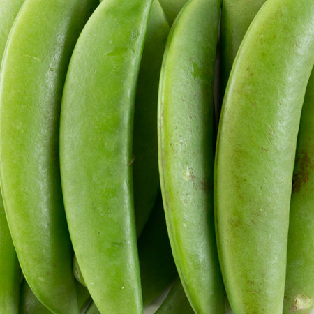 image of the string bean on a white backgroundの写真素材