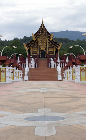 royal flower in chiangmai temple, thailandのeditorial素材