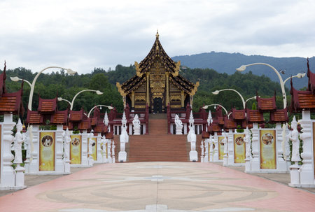royal flower in chiangmai temple, thailandのeditorial素材