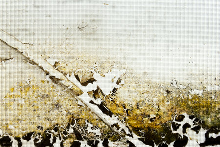 the image of moss on the glass