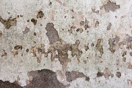 the image of the Stain on the wall