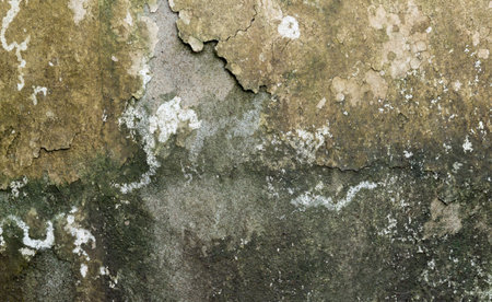 the image of the Stain on the wallの写真素材