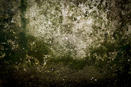 the image of the Stain on the wallの写真素材