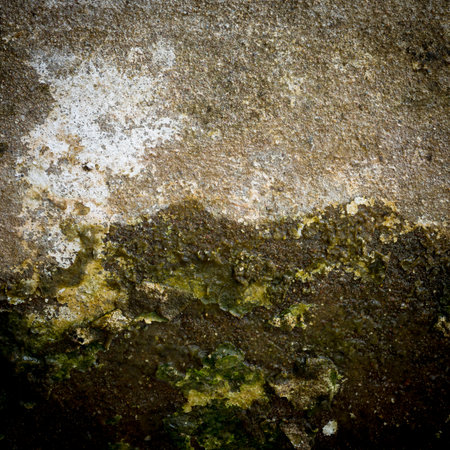 the image of the Stain on the wallの写真素材