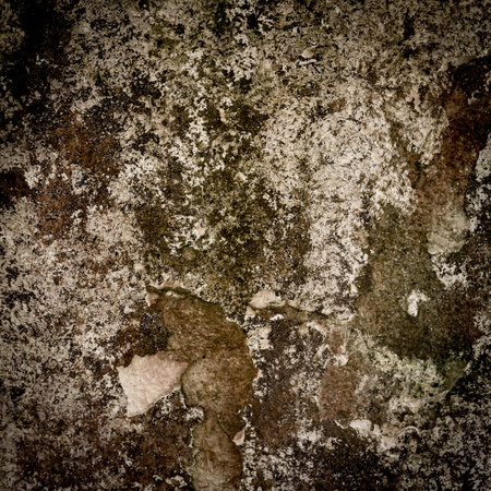 the image of the Stain on the wallの写真素材
