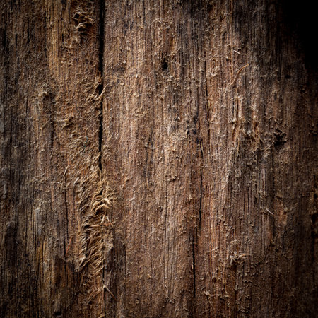 the image of the wood textureの写真素材