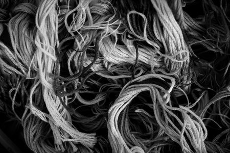 the yarn for Cross Stitch is black white colorの写真素材