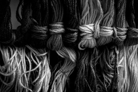 the yarn for Cross Stitch is black white colorの写真素材