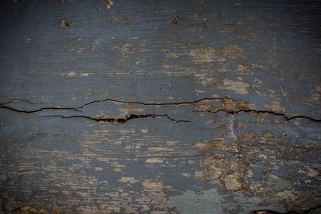 texture, abstract background of the grunge wood in nature is vintage styleの写真素材