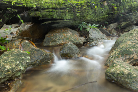 the waterfall with jungle is beatiful nature for the travel of the thailandの写真素材