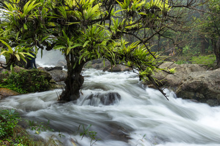 the waterfall with jungle is beatiful nature for the travel of the thailand