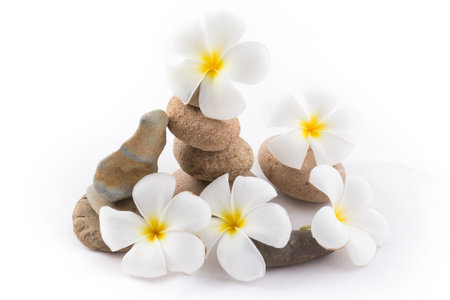 the isolated of the balance stones with Frangipani flower is zen for spa on white backgroundの写真素材