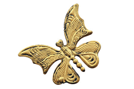 Butterfly of curved steelの写真素材