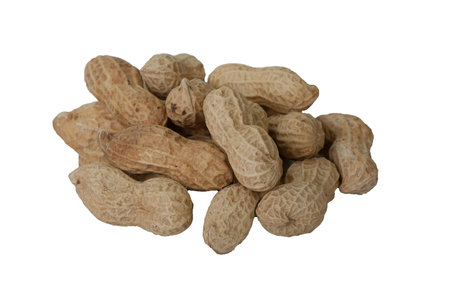 Peanut or groundnut