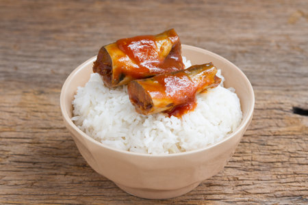 Grilled mackerel with tomato sauce on rice traditional Thai style food.の写真素材