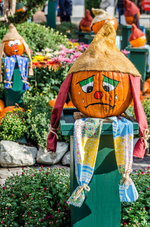 whiny pumpkin for Halloweenの写真素材