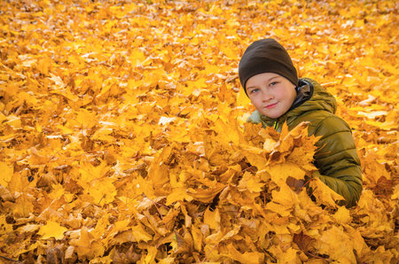 Child in autumn leavesの写真素材