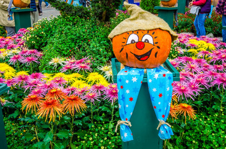 merry pumpkinの写真素材