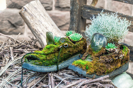 Old boots covered in green moss made under flowerpotsの写真素材