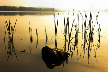 Lake in Sumbeamの写真素材